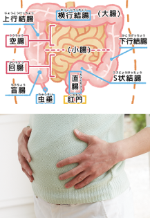 低血糖図