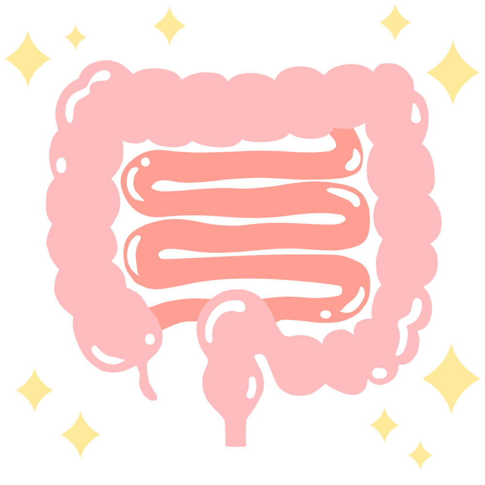 腸美容